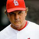Illustration for article titled Tea Partiers Support Diamondbacks, Tony La Russa Supports Tea Partiers